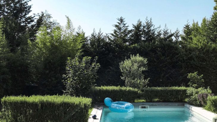 Modern backyard swimming pool surrounded by lush landscaping with a lounge chair and blue pool float.